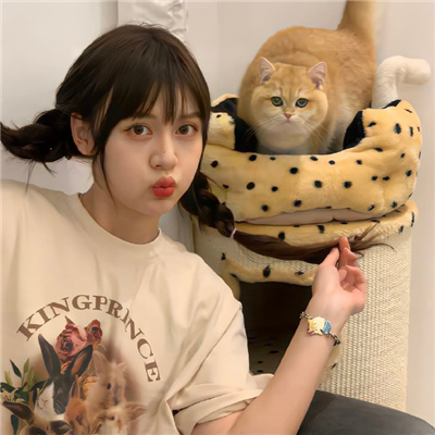 台湾伴游女生星晓莉的资料